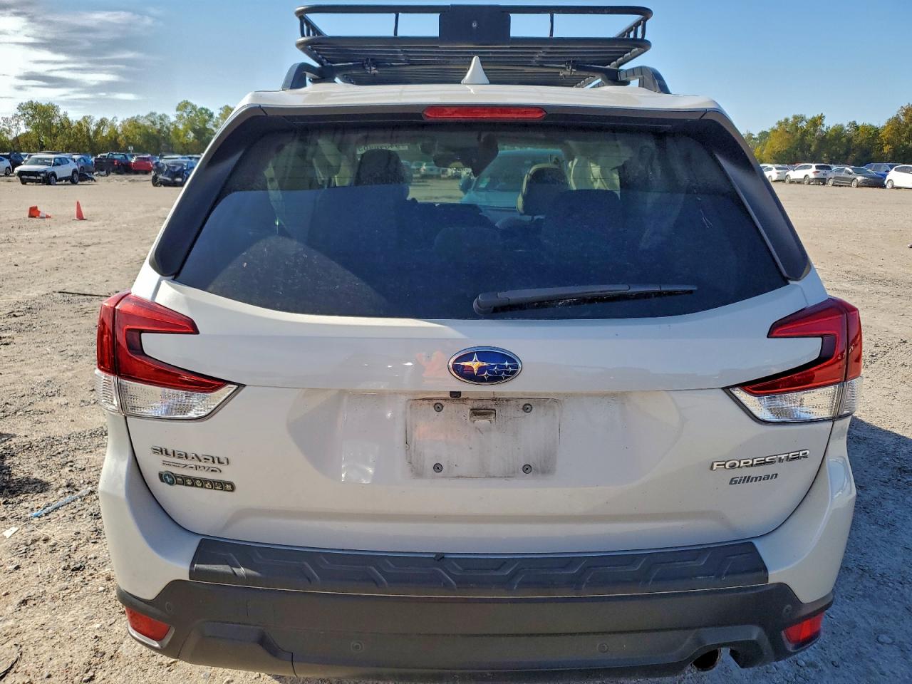 2020 Subaru Forester Limited VIN: JF2SKAUCXLH551816 Lot: 94348465