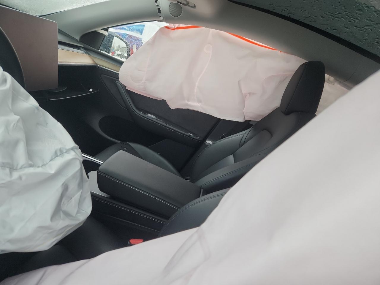 2023 Tesla Model Y VIN: 7SAYGDEE6PA065652 Lot: 92207015