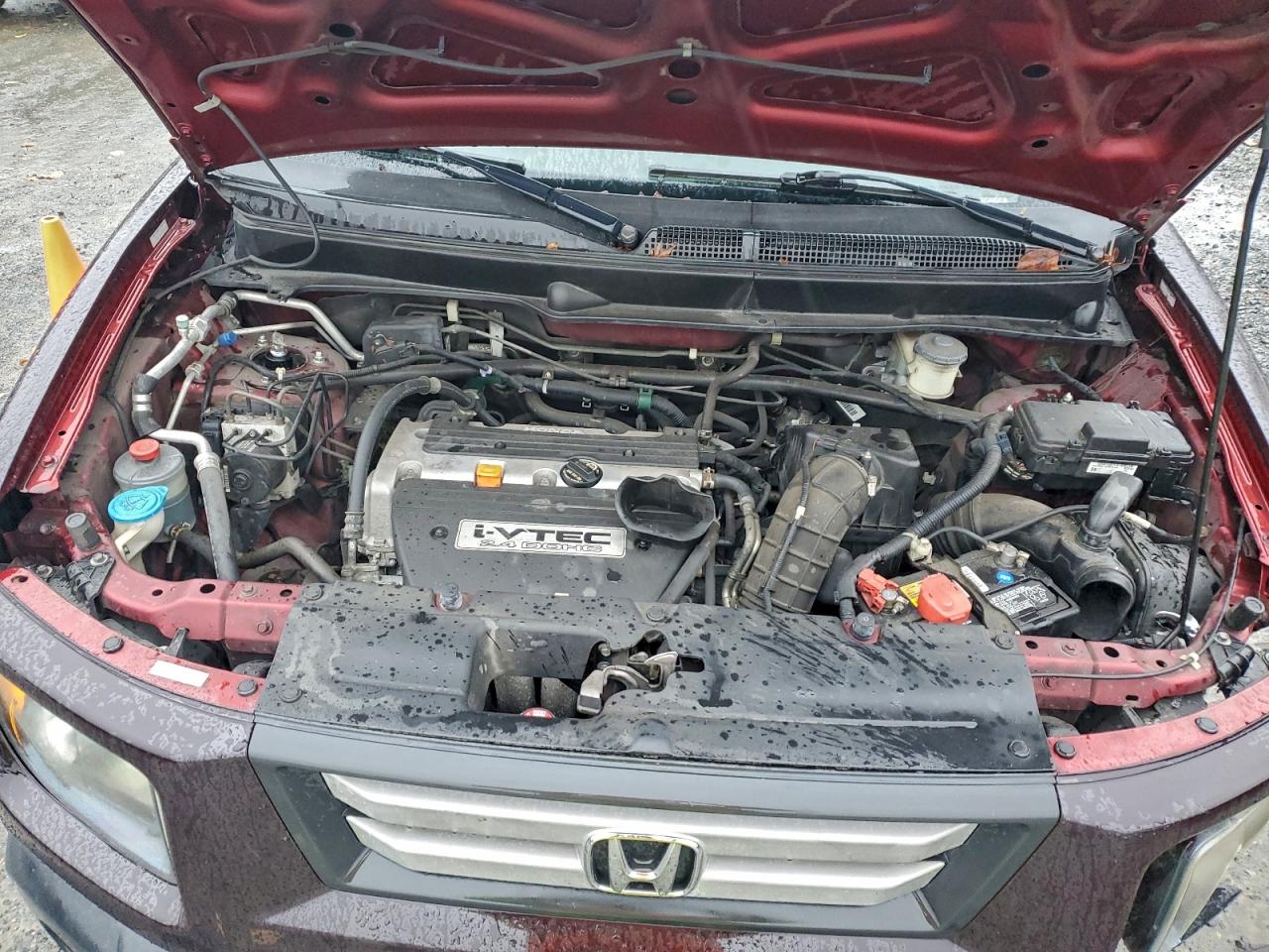 2007 Honda Element Ex VIN: 5J6YH28767L005666 Lot: 93786765