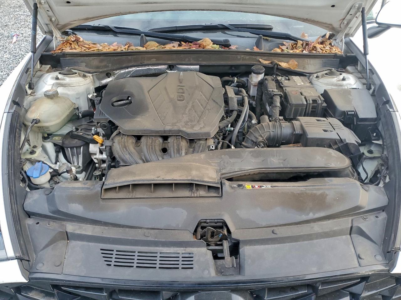 2020 Hyundai Sonata Sel VIN: 5NPEL4JA8LH020810 Lot: 94299805