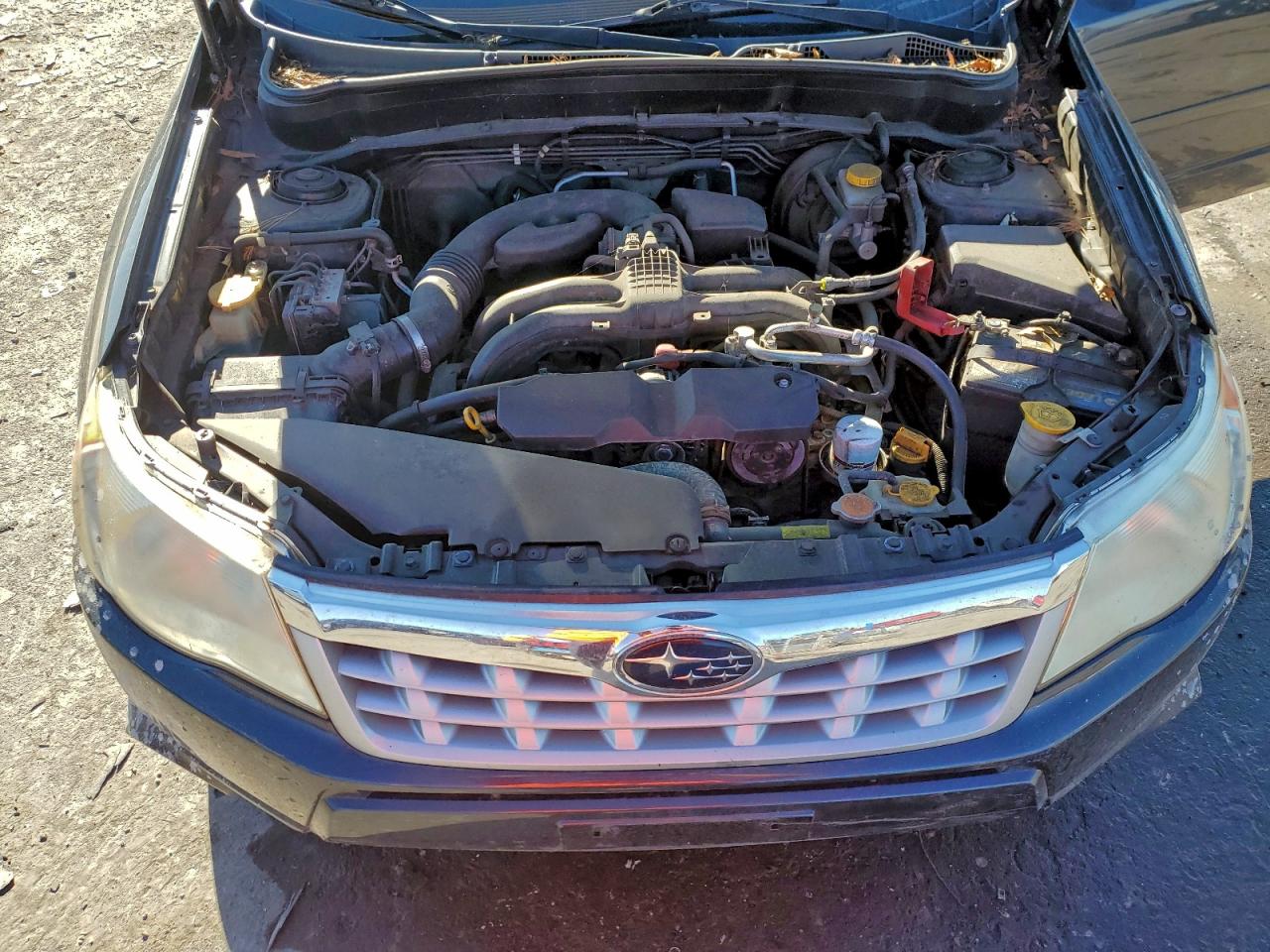 2012 Subaru Forester Limited VIN: JF2SHAECXCH436372 Lot: 94404225