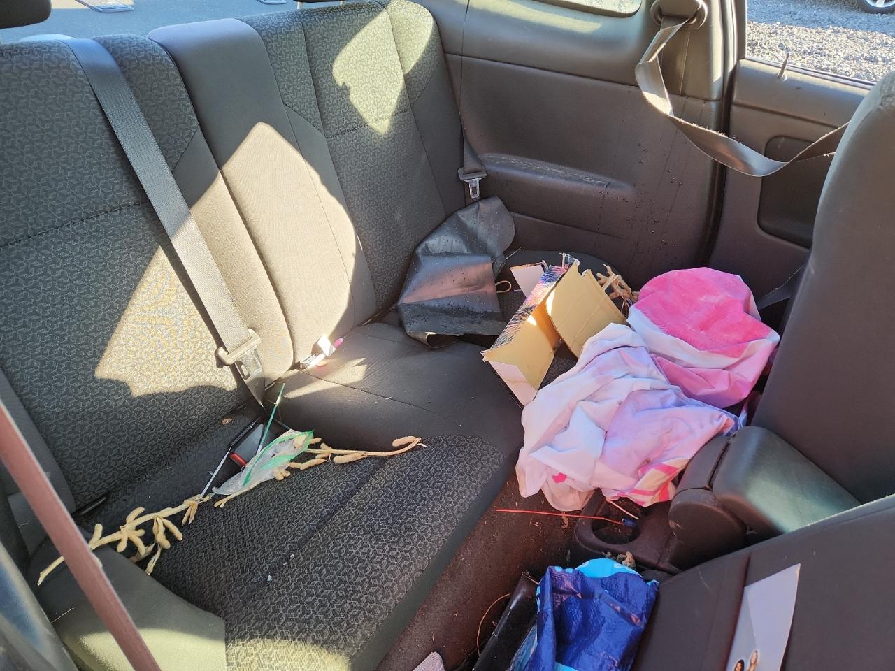 2007 Pontiac G5 Gt VIN: 1G2AN15B177192699 Lot: 91642525