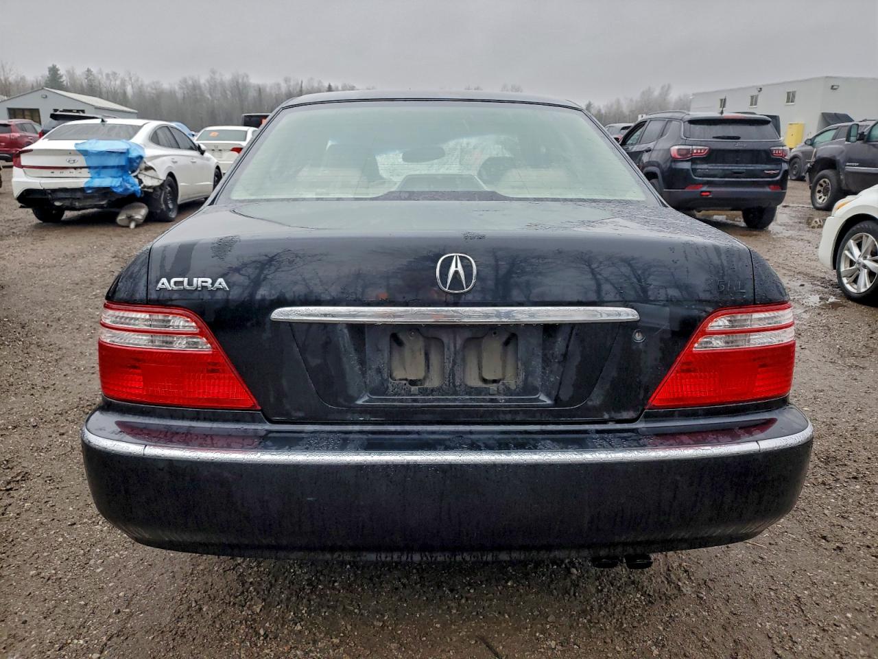 2004 Acura 3.5Rl VIN: JH4KA96514C800077 Lot: 93642975