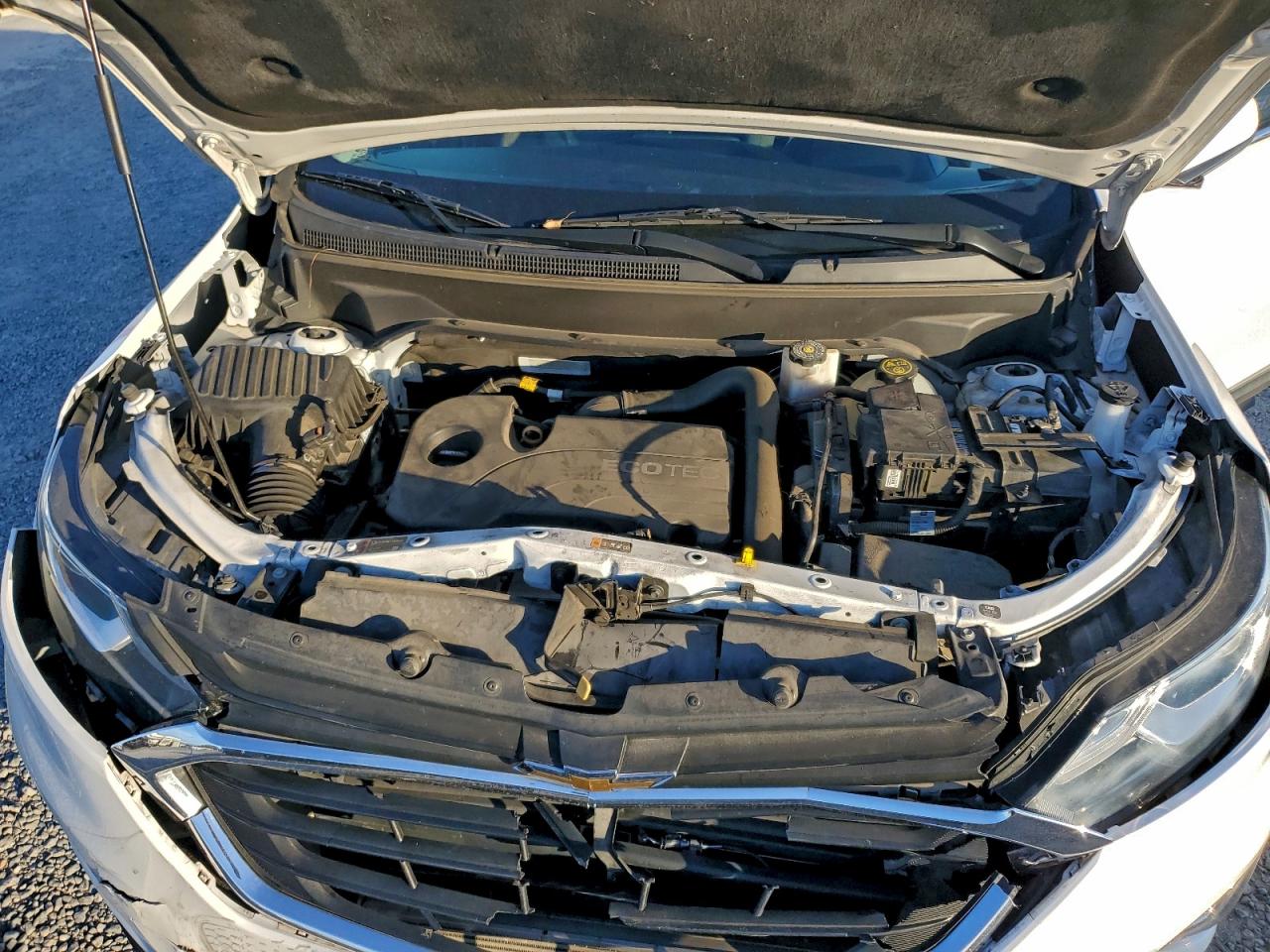 2019 Chevrolet Equinox Lt VIN: 2GNAXKEV5K6274831 Lot: 93860355