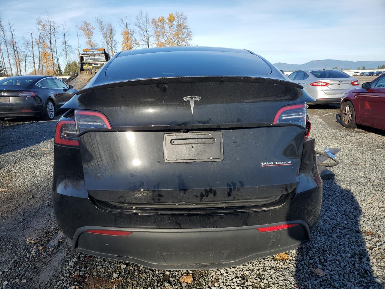 2024 Tesla Model Y VIN: 7SAYGDEF6RF079954 Lot: 93477085