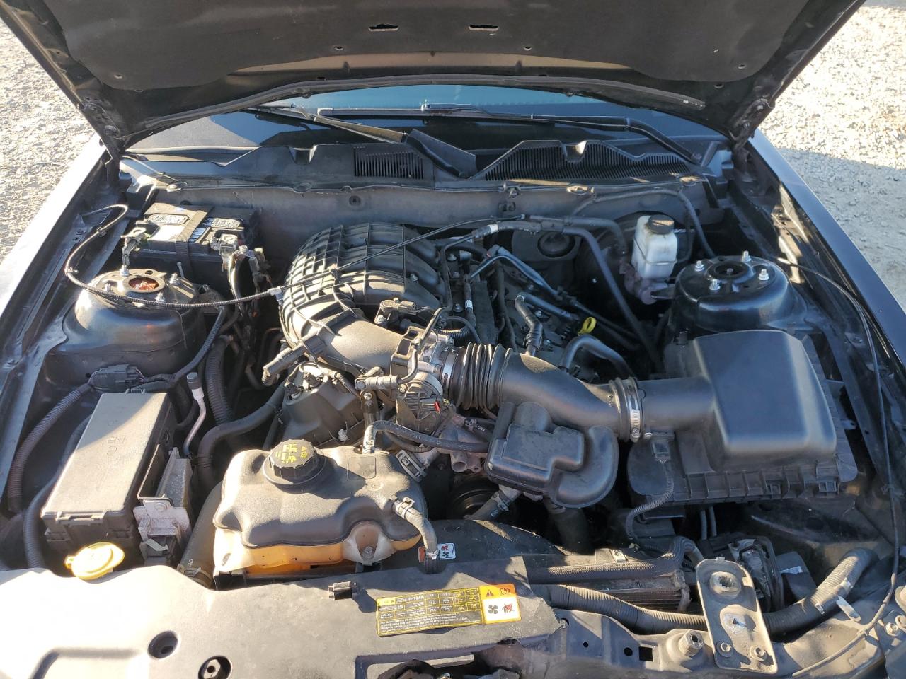 2011 Ford Mustang VIN: 1ZVBP8AM6B5117458 Lot: 91714135