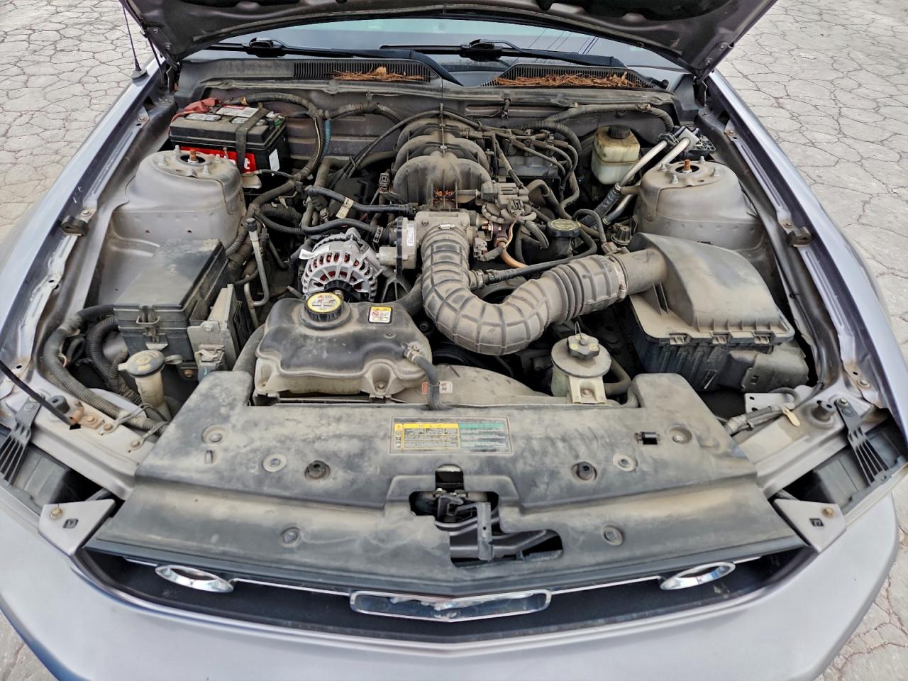 2007 Ford Mustang VIN: 1ZVFT80N875247708 Lot: 93498935