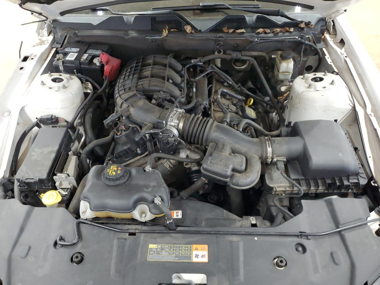 2013 Ford Mustang VIN: 1ZVBP8AM0D5259758 Lot: 91918065