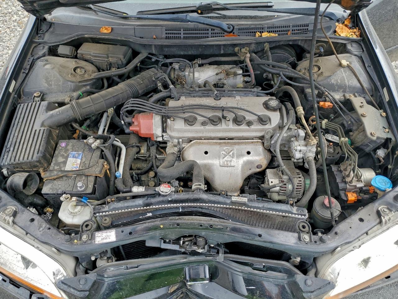 1999 Honda Accord Ex VIN: 1HGCG5657XA065880 Lot: 94066145