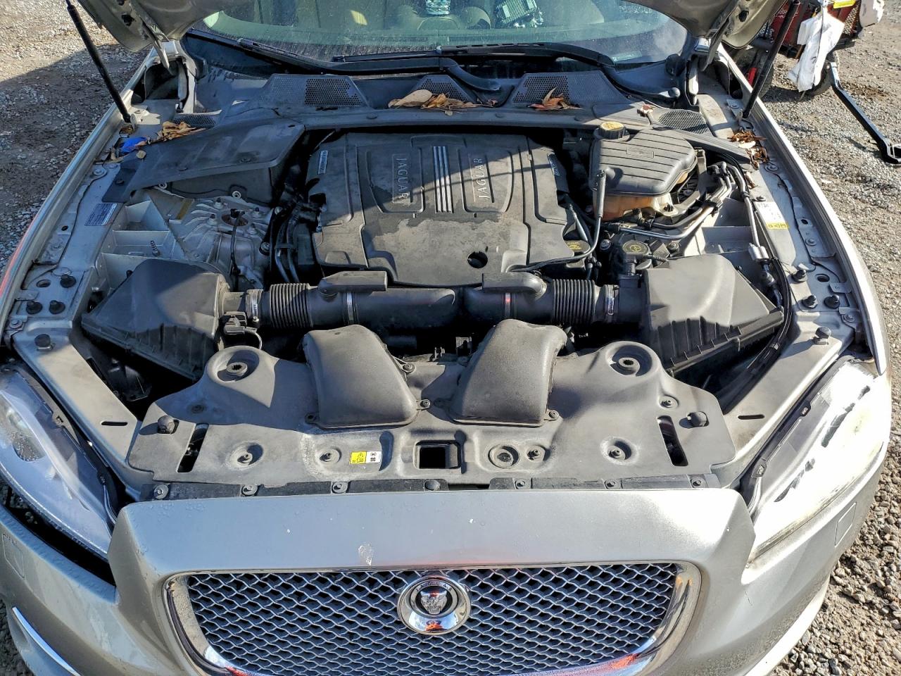 2013 Jaguar Xj VIN: SAJWA1C79D8V50876 Lot: 93708215