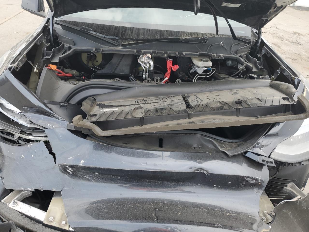 2024 Tesla Model Y VIN: 7SAYGAEE0RF091023 Lot: 90895215