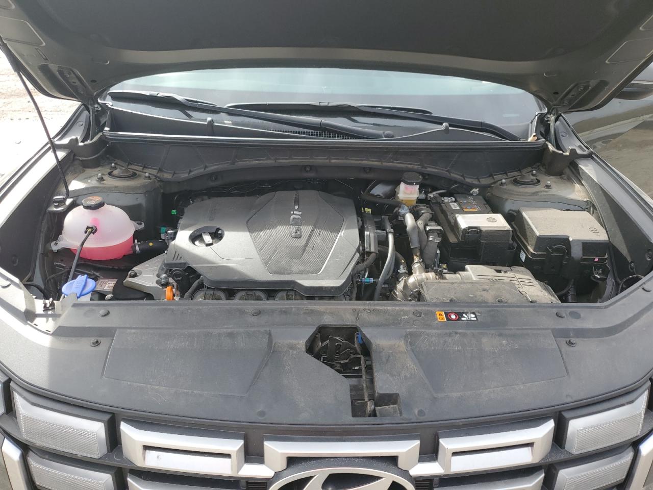 2025 Hyundai Santa Cruz Sel Activity VIN: 5NTJC4DE5SH135507 Lot: 90888285