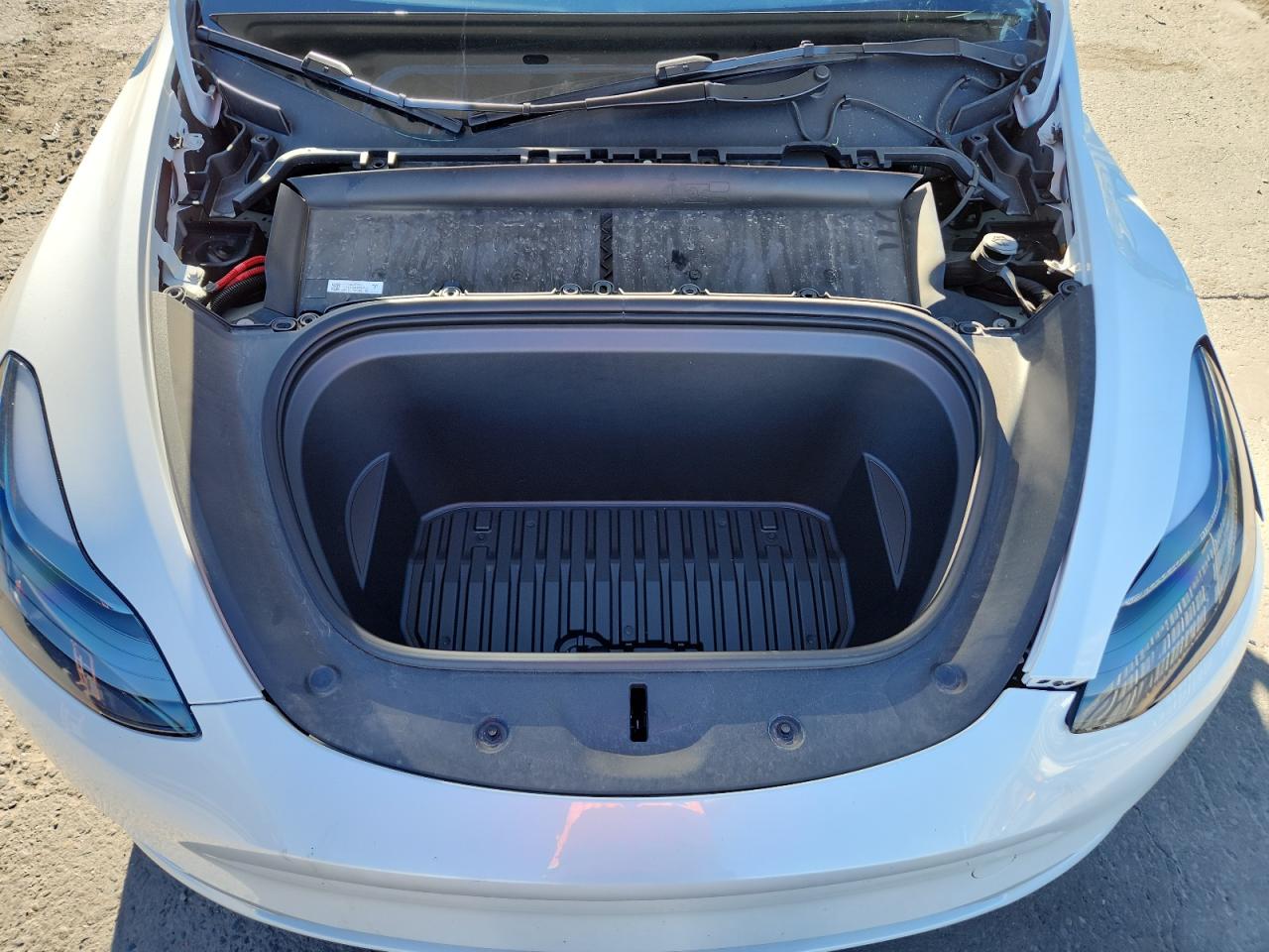 2023 Tesla Model Y VIN: 7SAYGDEE4PF876787 Lot: 93383515