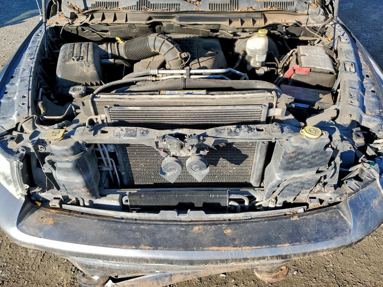 2010 Dodge Ram 1500 VIN: 1D7RV1CT3AS116020 Lot: 93736805