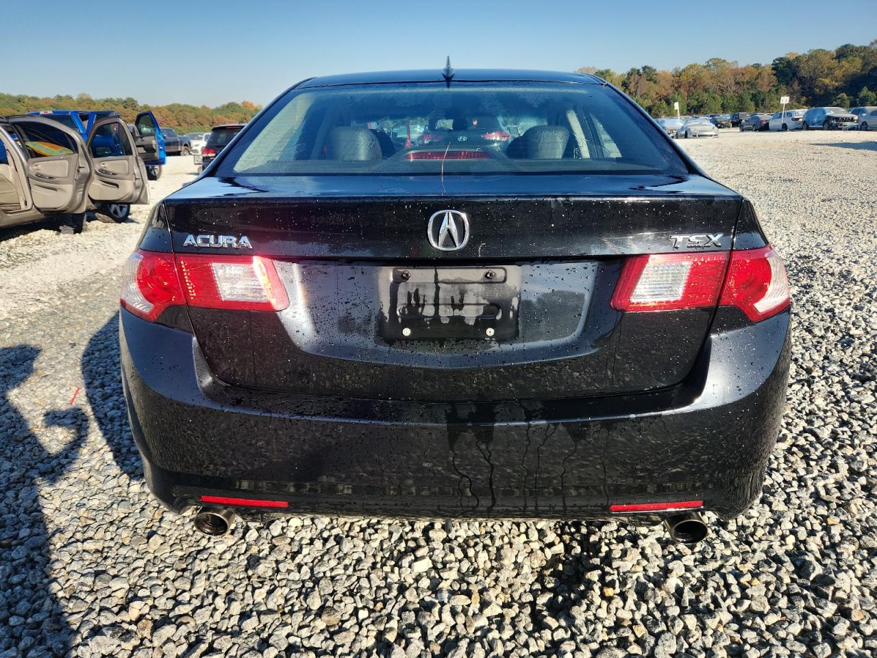 2009 Acura Tsx VIN: JH4CU26619C032846 Lot: 91623665