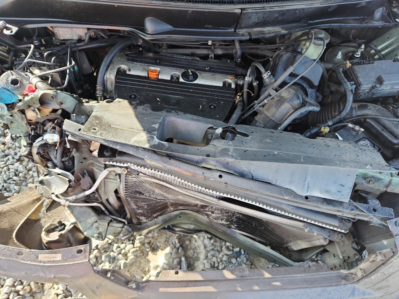 2004 Honda Element Ex VIN: 5J6YH18504L003593 Lot: 92677935