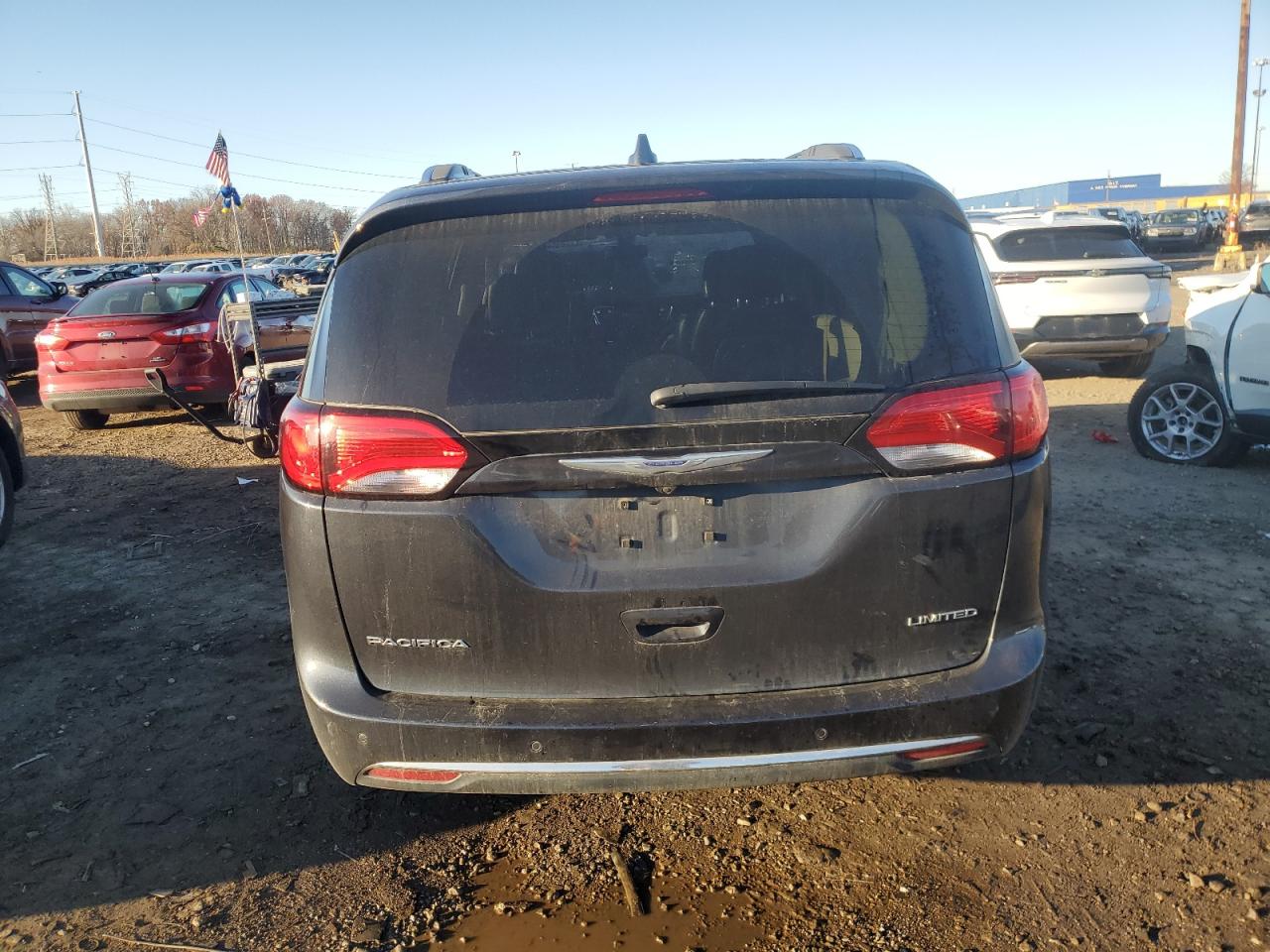 2020 Chrysler Pacifica Limited VIN: 2C4RC1GG3LR203613 Lot: 91992695