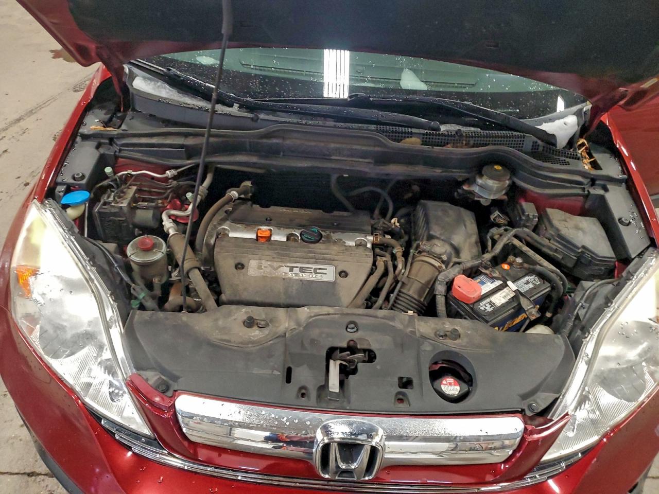 2008 Honda Cr-V Exl VIN: JHLRE38788C036446 Lot: 94404815