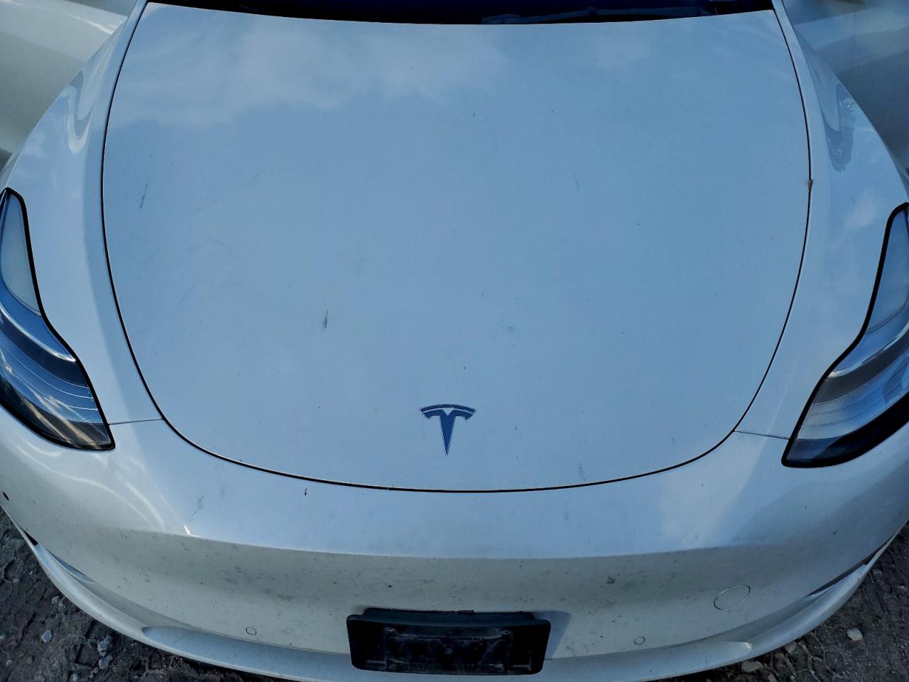 2022 Tesla Model Y VIN: 7SAYGAEE7NF383438 Lot: 91482665