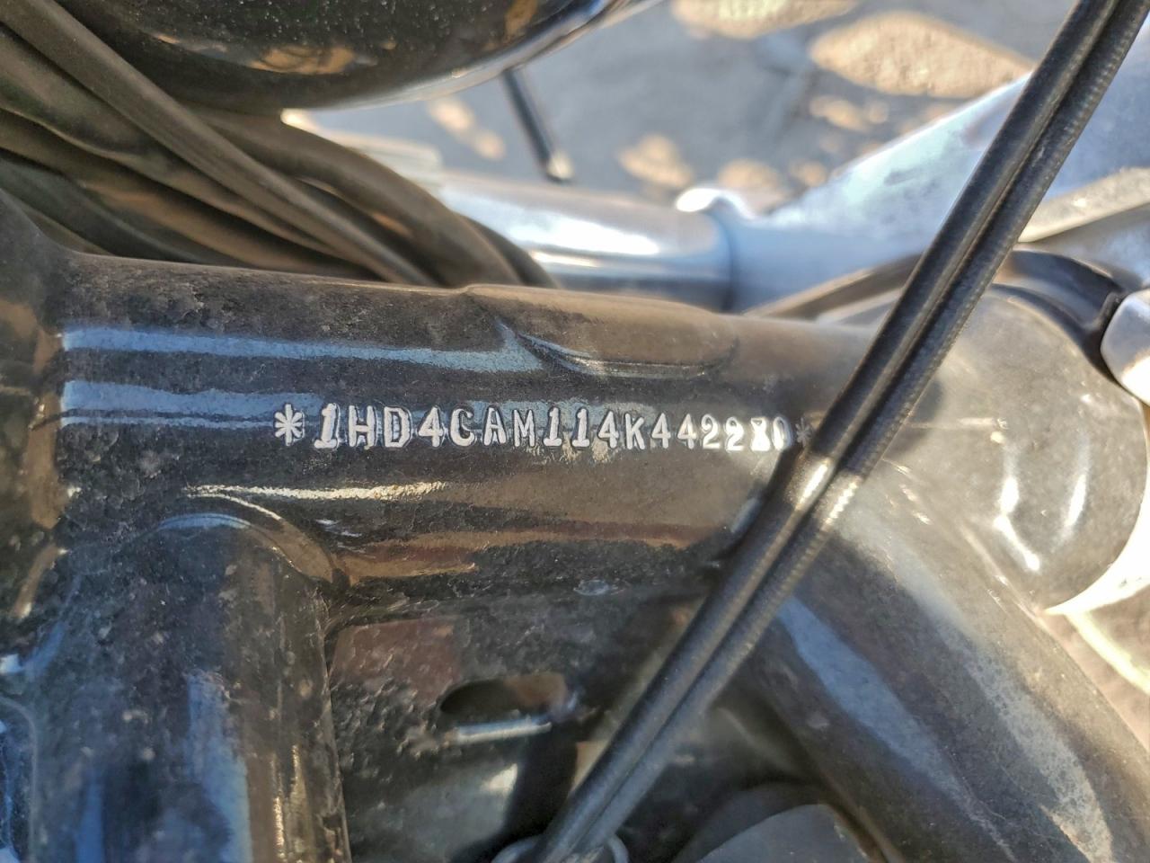 2004 Harley-Davidson Xl883 VIN: 1HD4CAM114K442280 Lot: 93766065