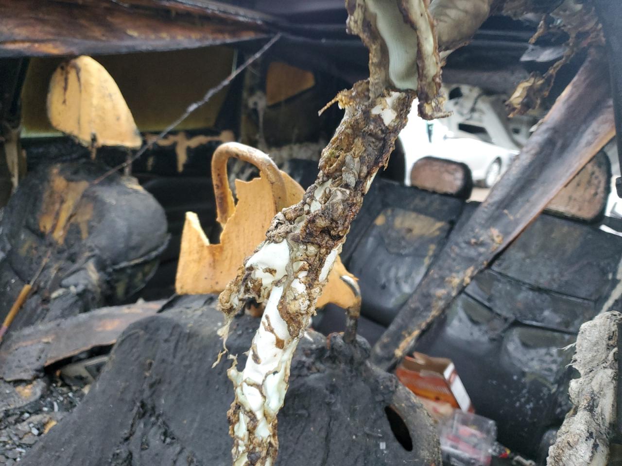 2019 Nissan Murano S VIN: 5N1AZ2MS6KN155798 Lot: 92907185