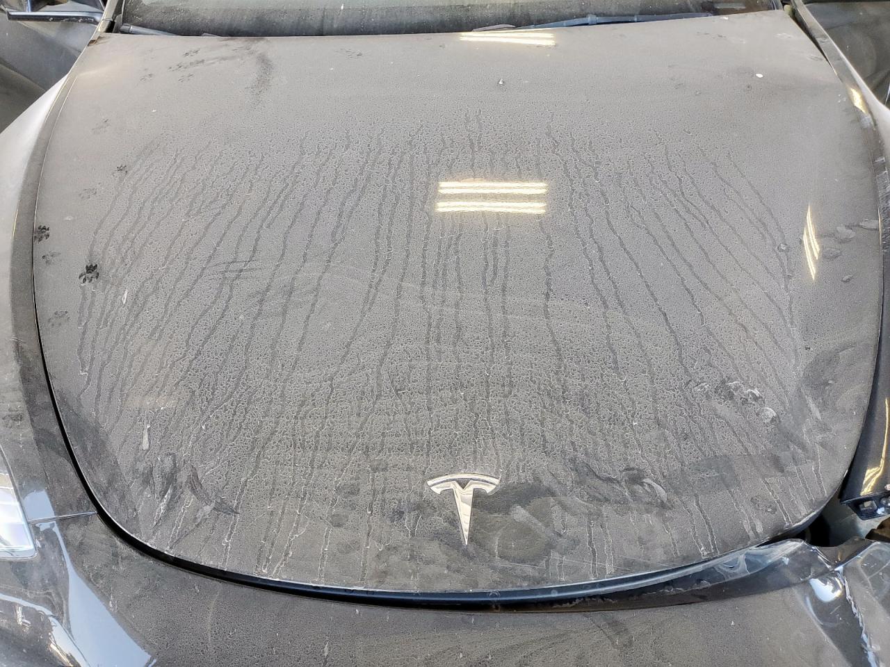 2022 Tesla Model Y VIN: 7SAYGDEE1NF463240 Lot: 92028805