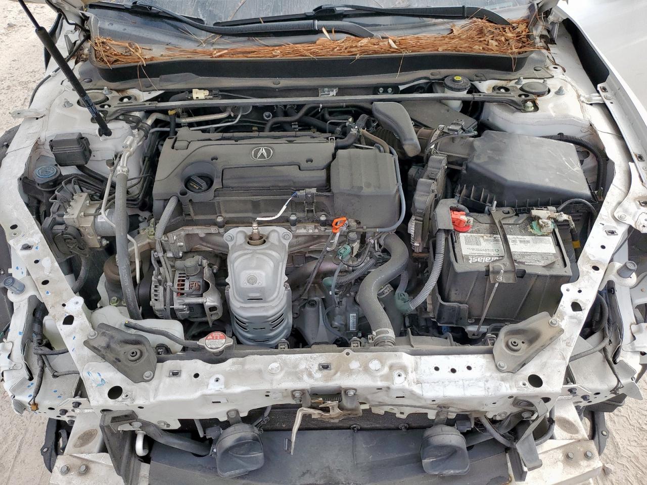 2019 Acura Tlx VIN: 19UUB1F37KA007674 Lot: 93390085