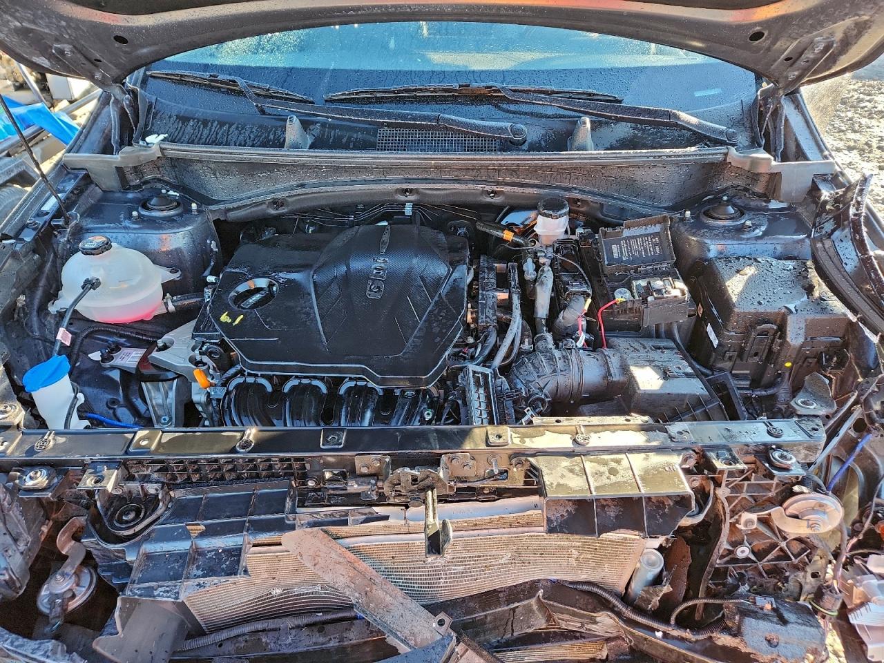 2023 Kia Sportage Ex VIN: 5XYK3CAF5PG020298 Lot: 93721615