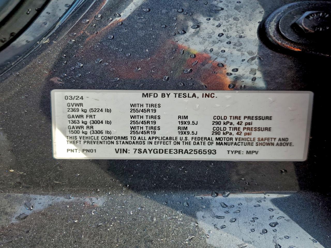 2024 Tesla Model Y VIN: 7SAYGDEE3RA256593 Lot: 94193115