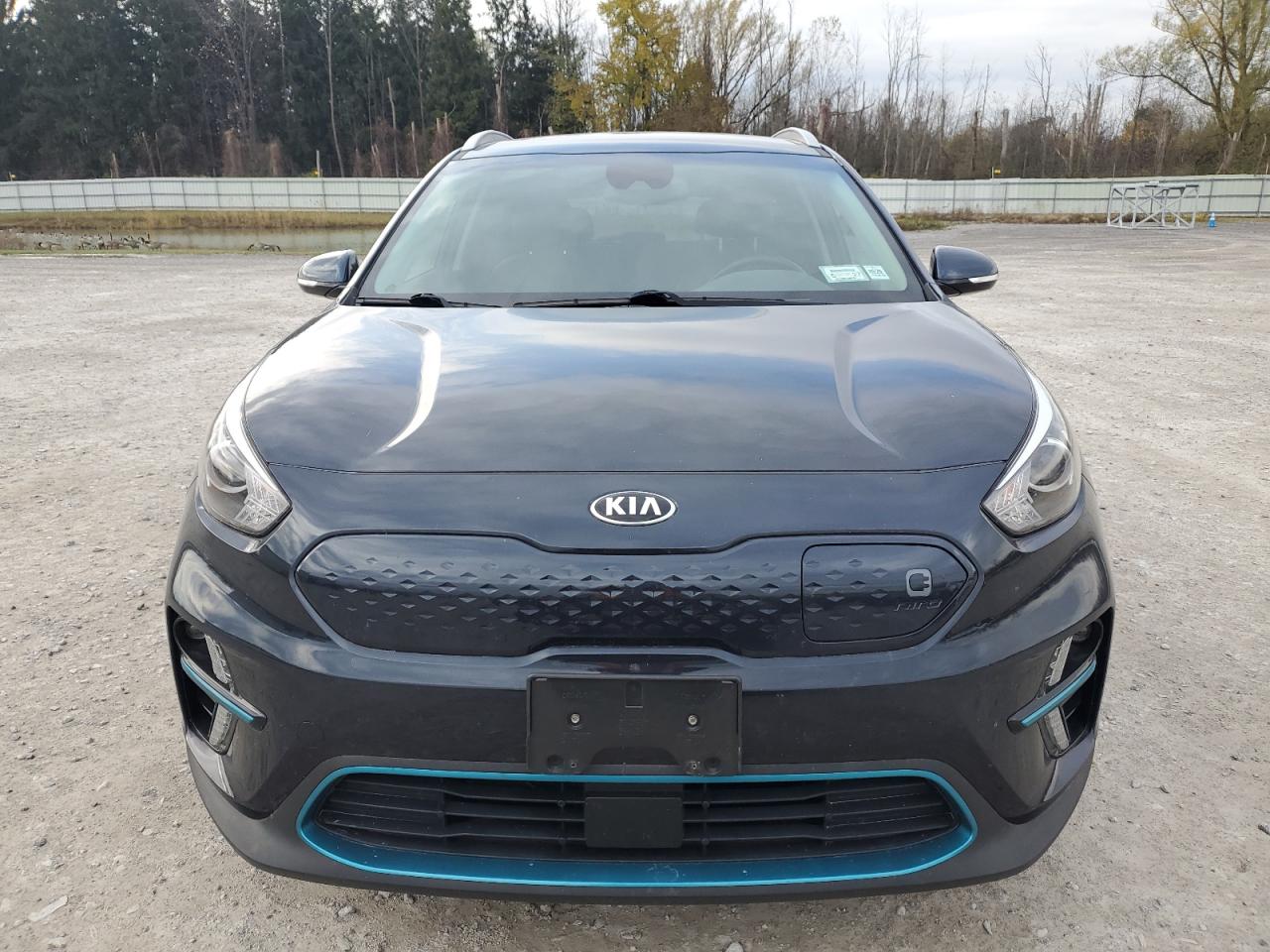 2020 Kia Niro Ex VIN: KNDCC3LG8L5040204 Lot: 91392485