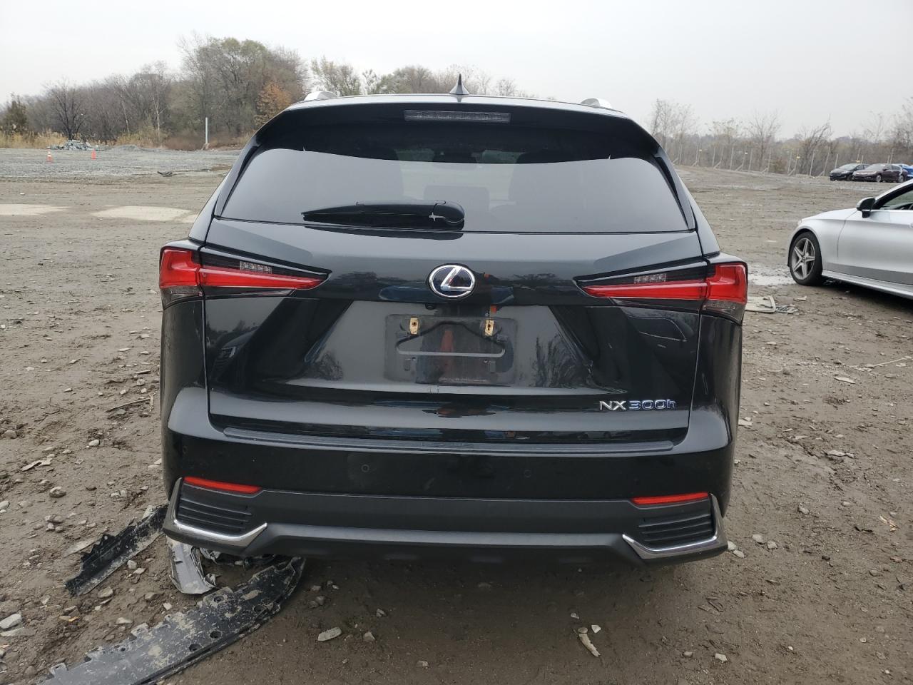 2019 Lexus Nx 300H VIN: JTJBJRBZ3K2098743 Lot: 92180975