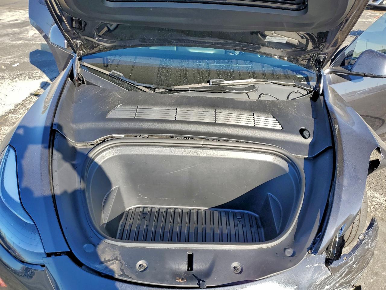 2024 Tesla Model Y VIN: 7SAYGDEE5RF081900 Lot: 94501585