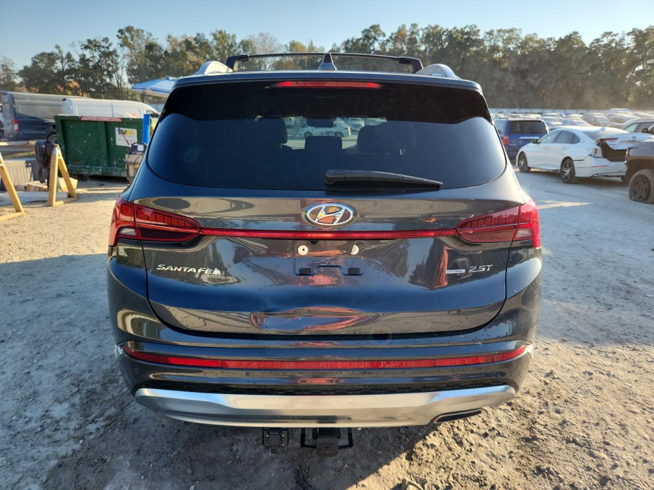 2023 Hyundai Santa Fe Calligraphy VIN: 5NMS5DAL6PH643943 Lot: 93630025