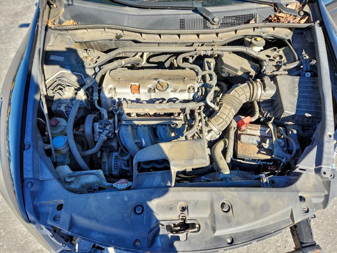 2011 Honda Accord Exl VIN: 1HGCP2F87BA017877 Lot: 93666445