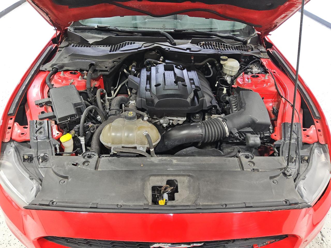 2017 Ford Mustang VIN: 1FA6P8THXH5206002 Lot: 86673445