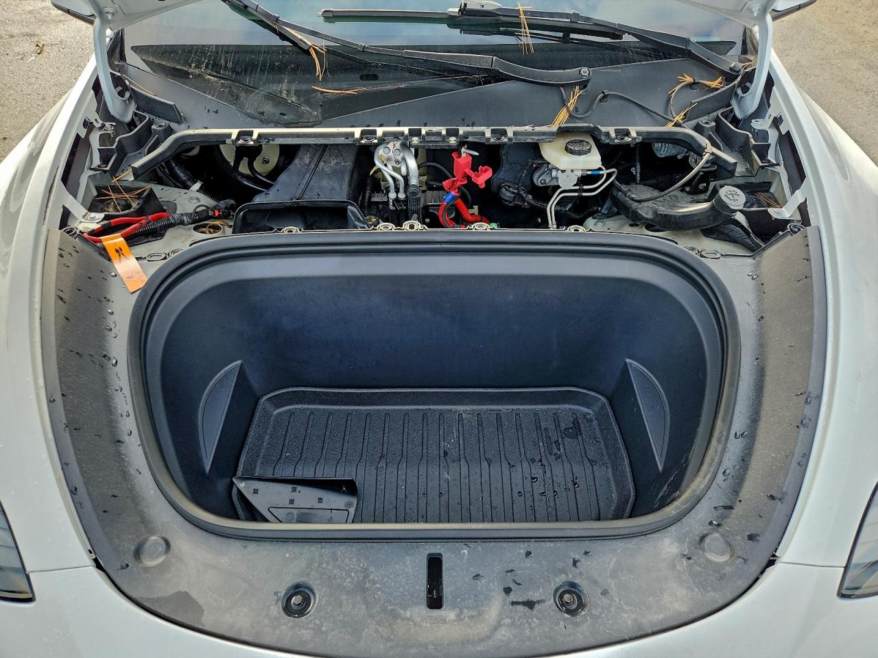 2023 Tesla Model Y VIN: 7SAYGDEE9PF671997 Lot: 92654075