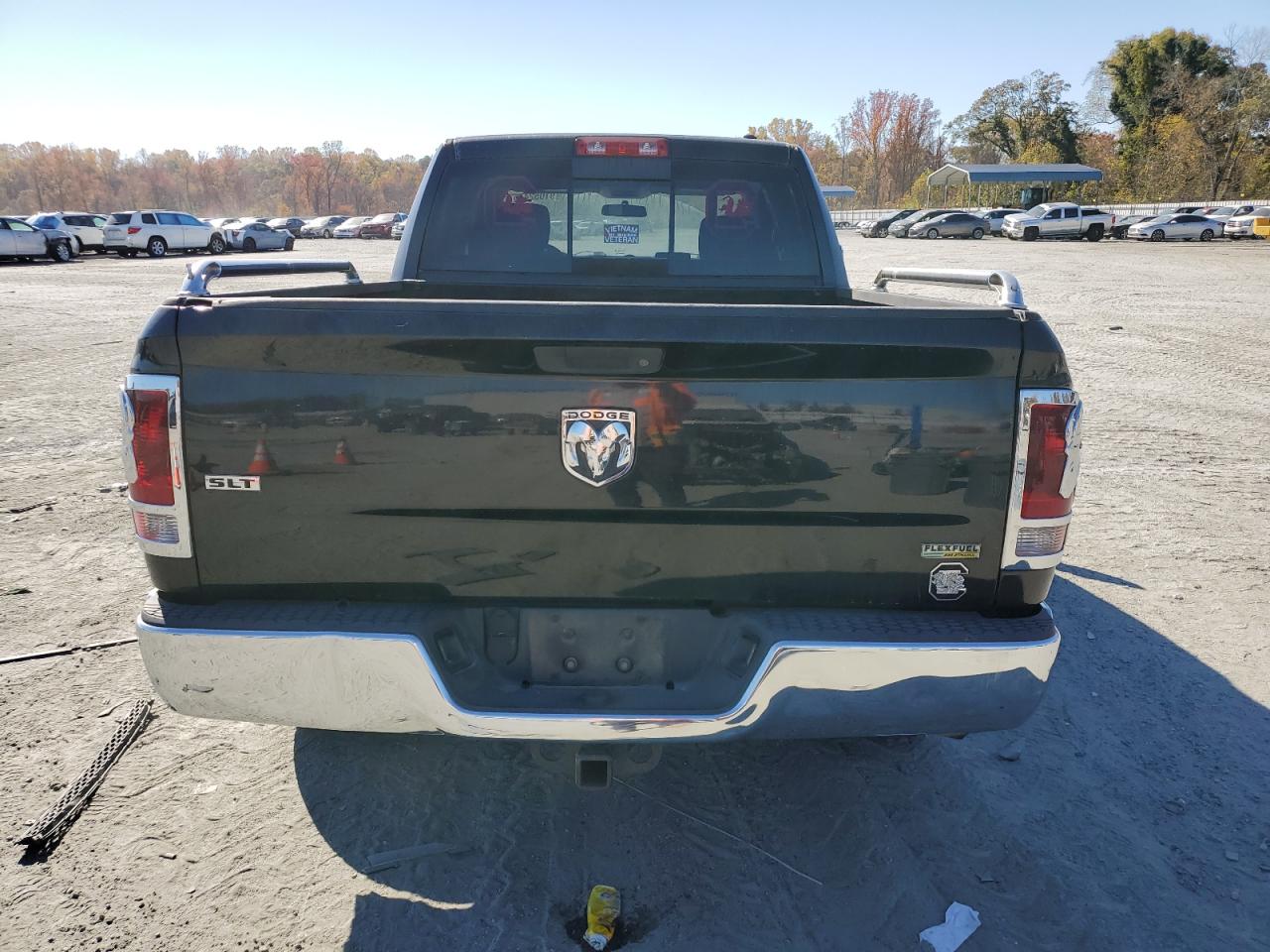 2010 Dodge Ram 1500 VIN: 1D7RB1GP9AS250729 Lot: 91052475