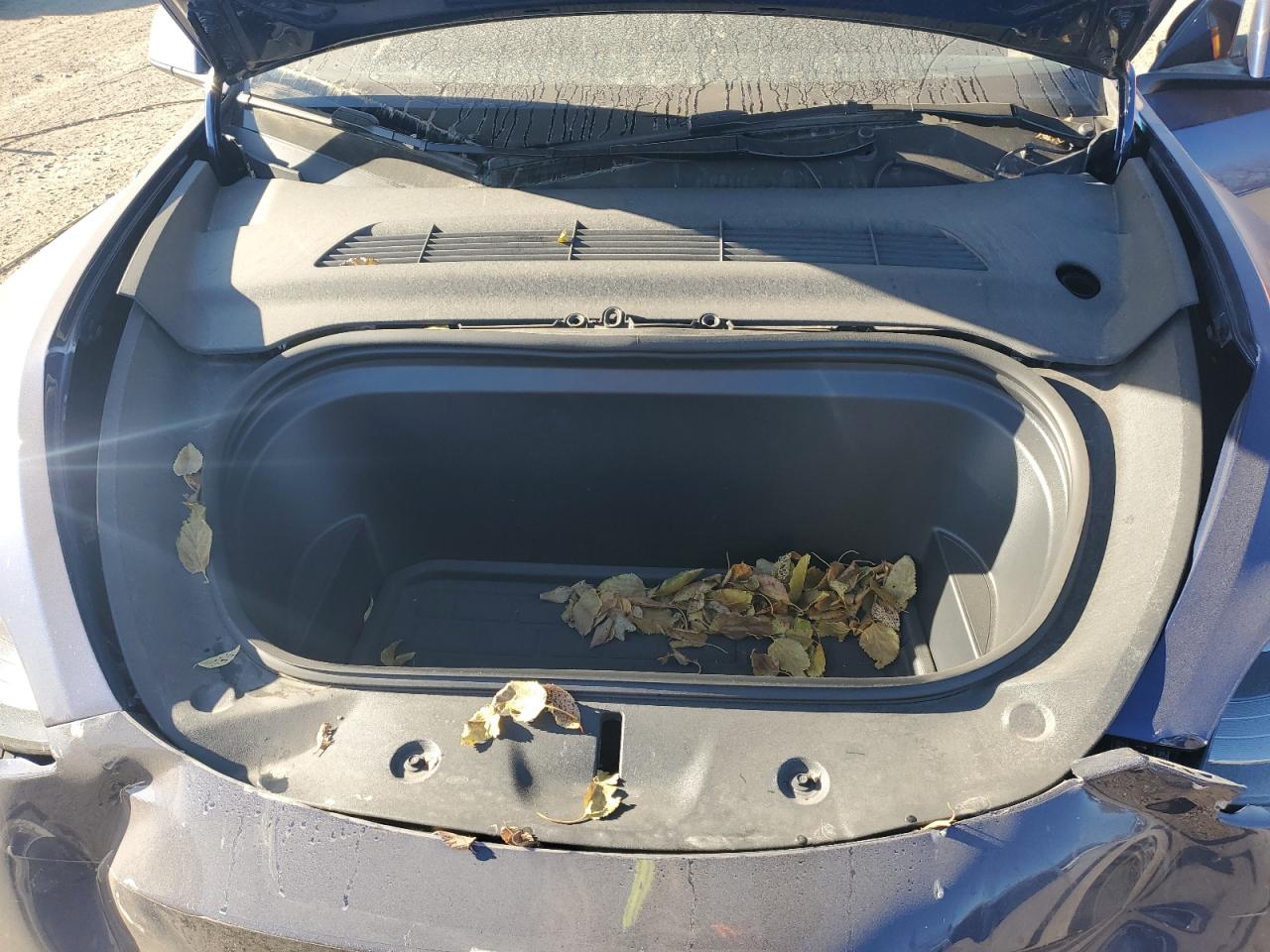 2023 Tesla Model Y VIN: 7SAYGDEE3PA205401 Lot: 92397125