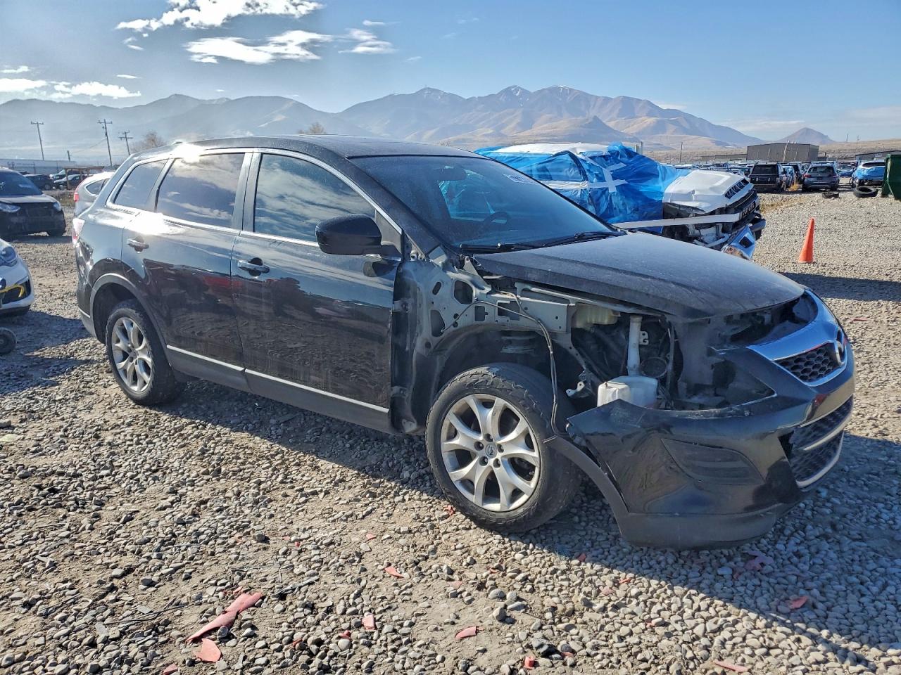 2011 Mazda Cx-9 VIN: JM3TB3CV7B0306123 Lot: 94251215