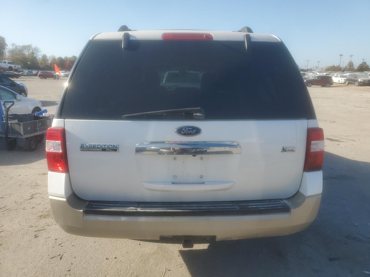 2010 Ford Expedition El Eddie Bauer VIN: 1FMJK1J53AEB19272 Lot: 93003645