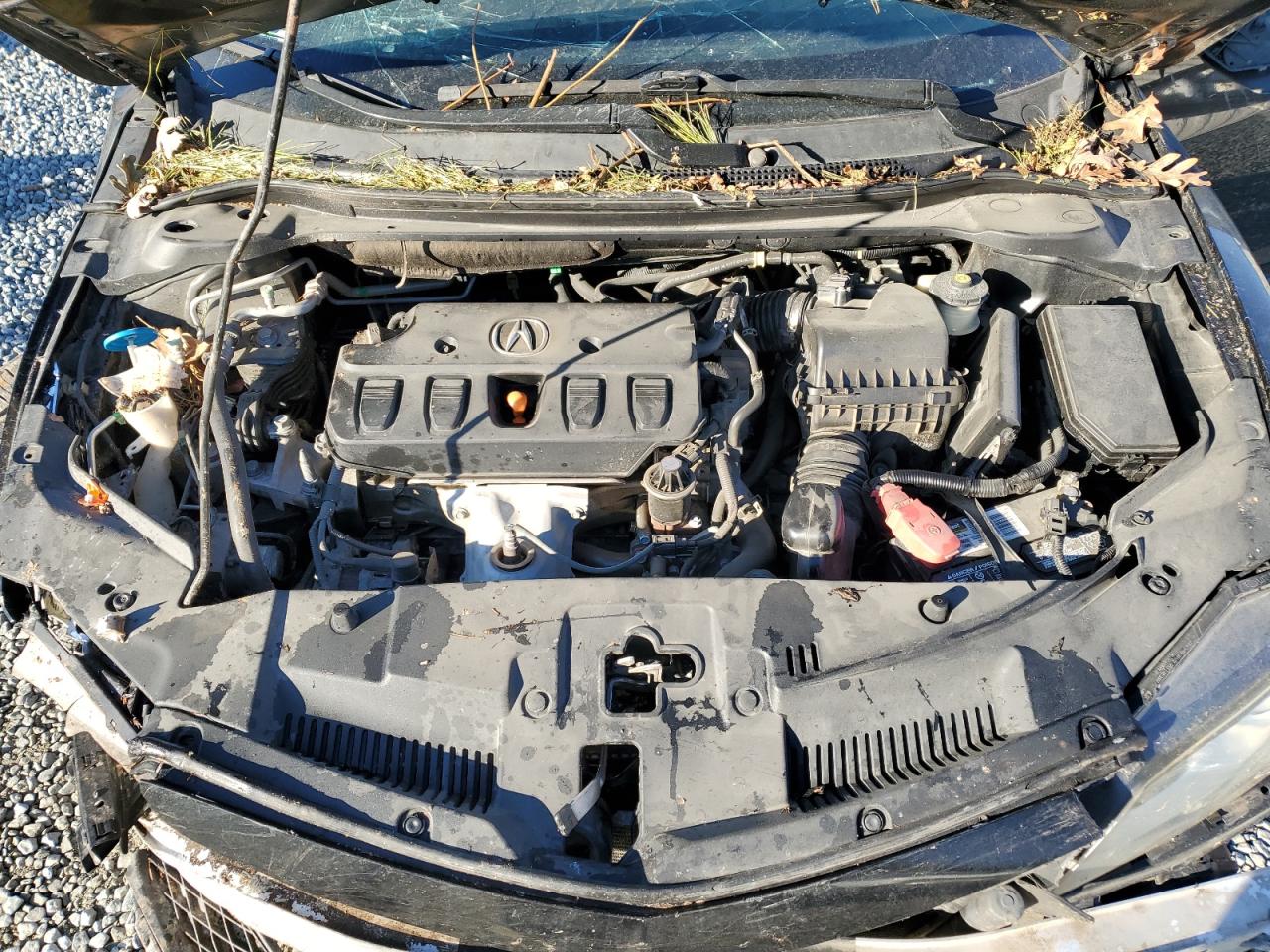 2013 Acura Ilx 20 Premium VIN: 19VDE1F56DE019492 Lot: 92263445