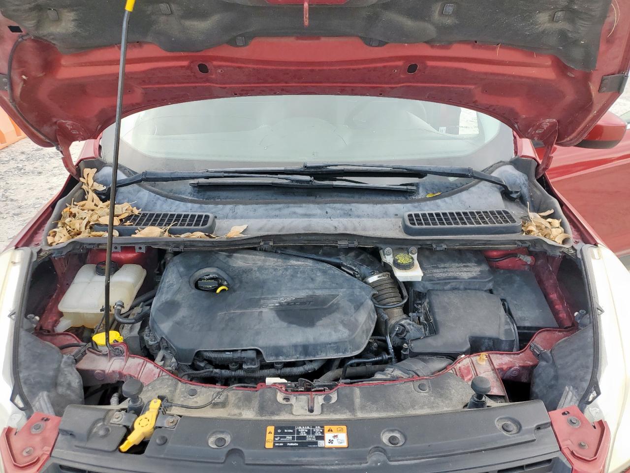 2014 Ford Escape Se VIN: 1FMCU0GX9EUE38970 Lot: 93099065