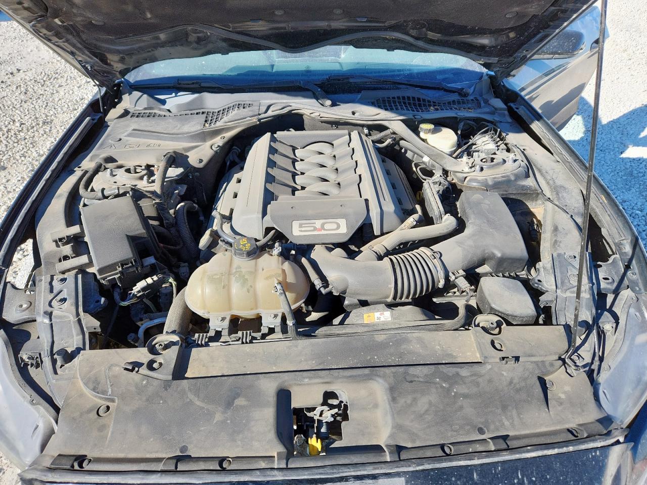 2017 Ford Mustang Gt VIN: 1FA6P8CF3H5351803 Lot: 92192225