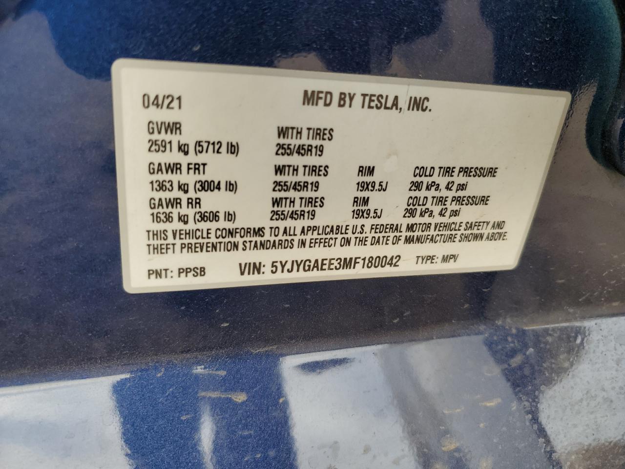 2021 Tesla Model Y VIN: 5YJYGAEE3MF180042 Lot: 92395875