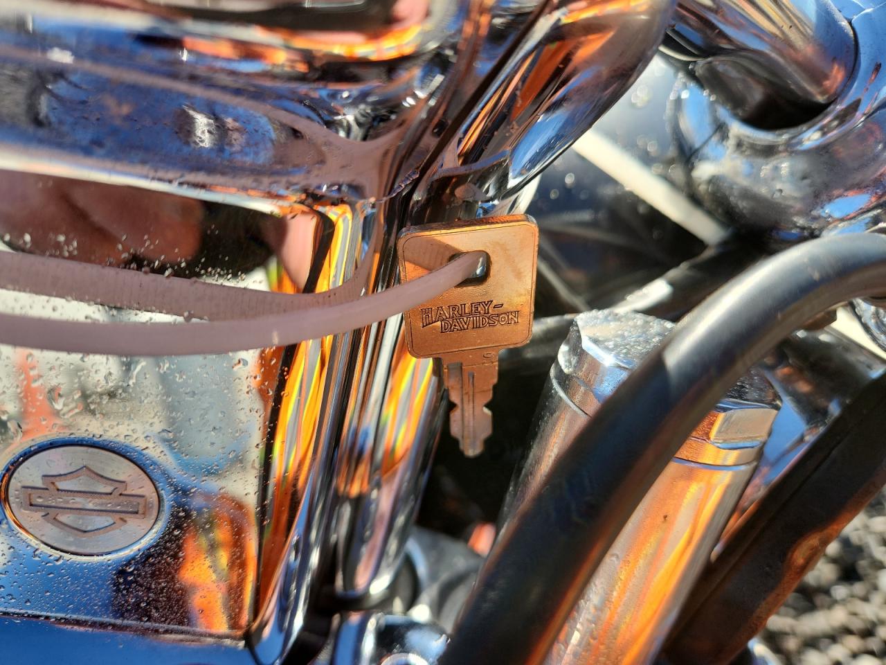 2000 Harley-Davidson Xl1200 C VIN: 1HD1CGP16YK139289 Lot: 91400025