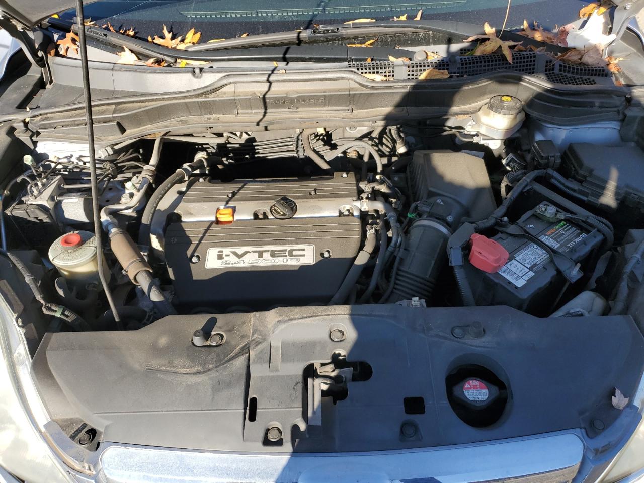 2007 Honda Cr-V Exl VIN: 5J6RE48797L008781 Lot: 91439875