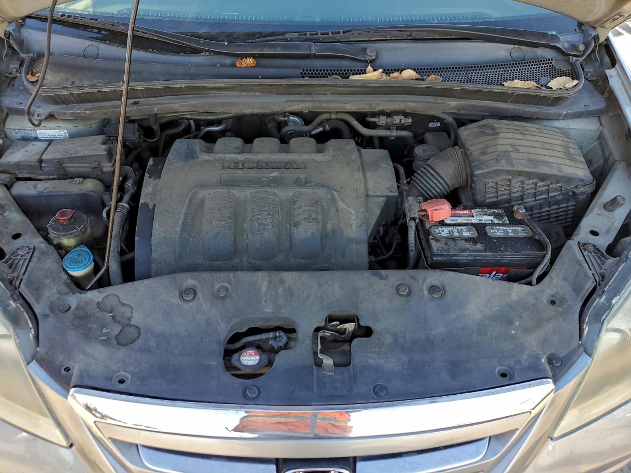 2006 Honda Odyssey Exl VIN: 5FNRL386X6B054344 Lot: 94362395