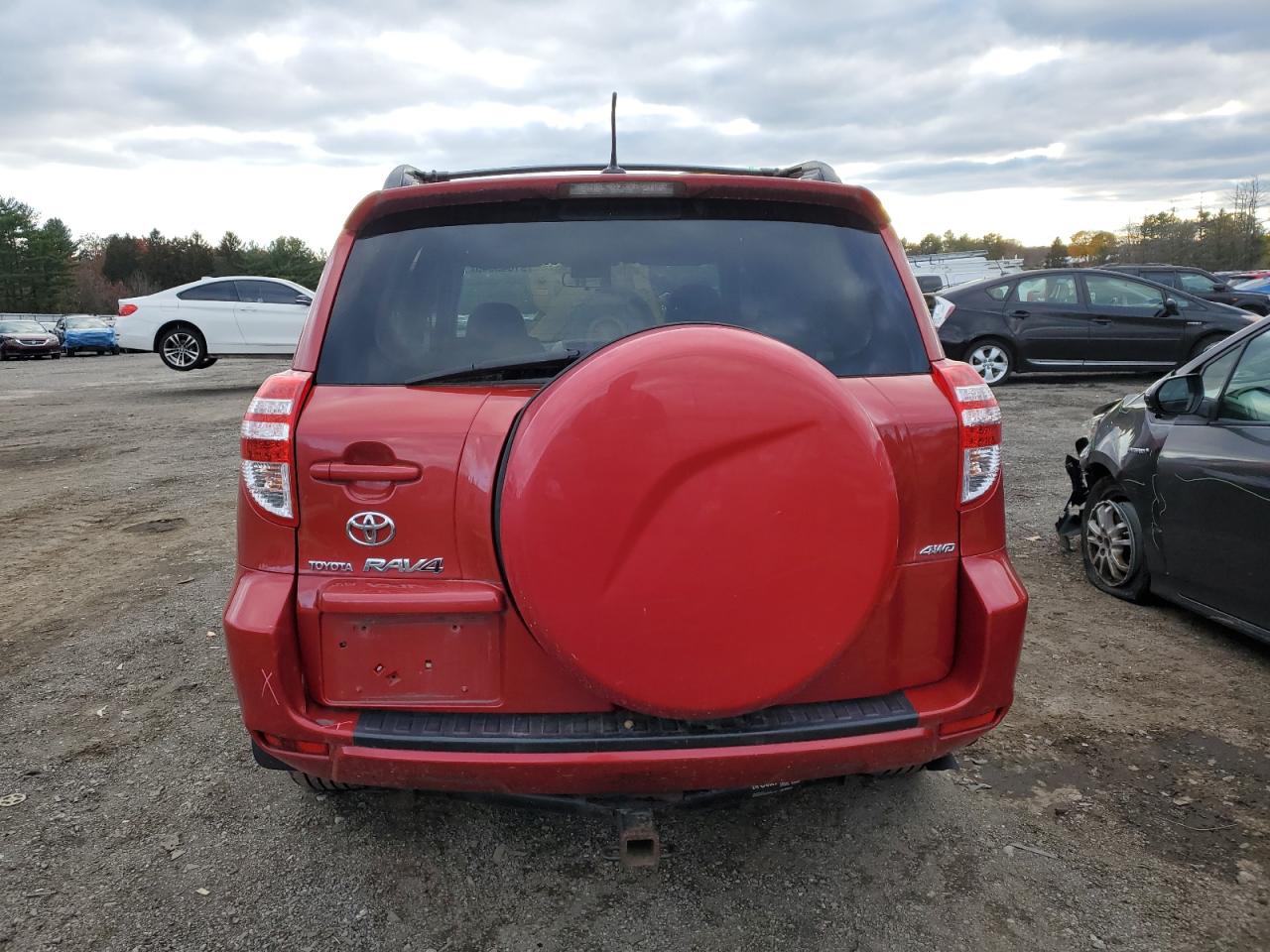 2009 Toyota Rav4 VIN: JTMBF33V79D019666 Lot: 91643645