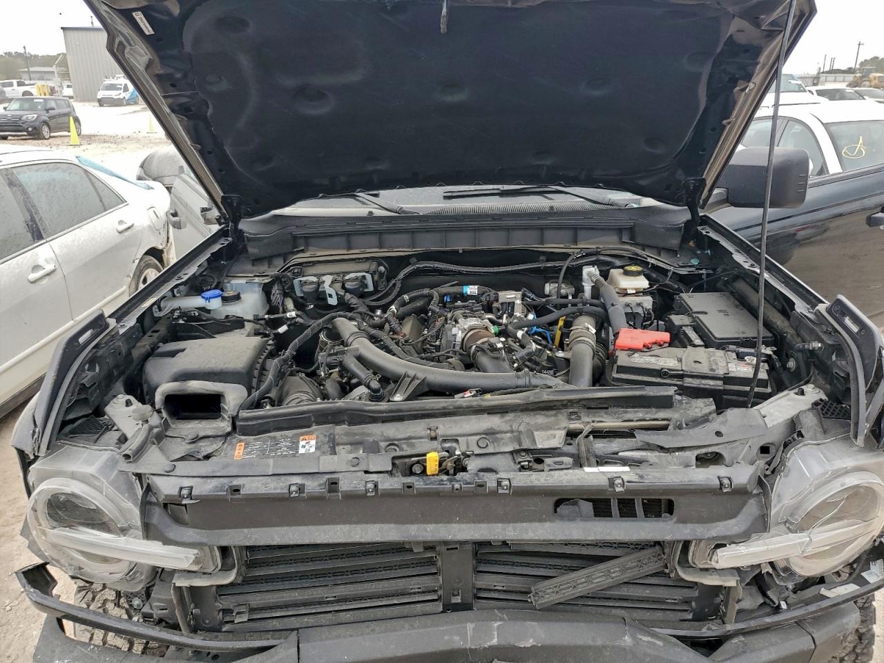 2024 Ford Bronco Badlands VIN: 1FMDE9AP4RLA22433 Lot: 94198415