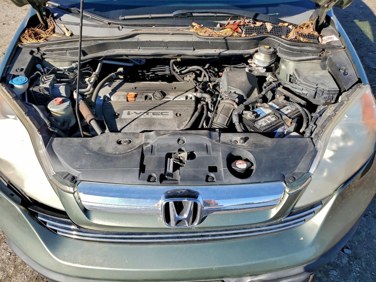 2008 Honda Cr-V Ex VIN: 5J6RE48518L051057 Lot: 93465465